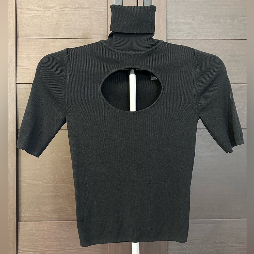 Zara Black Turtleneck Crop Top